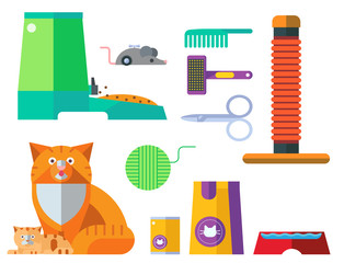 Colorful cat accessory cute vector animal icons pet equipment food domestic feline illustration.
