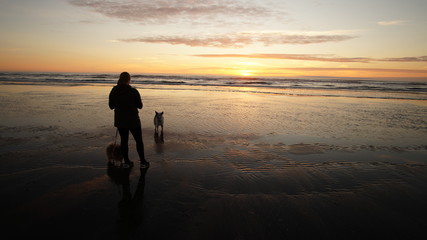 Naklejka premium Exploring Washington, The Great Pacific Northwest