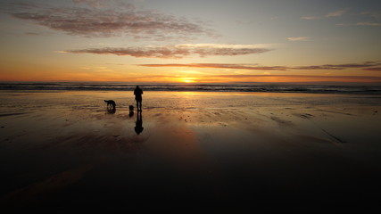 Exploring Washington, The Great Pacific Northwest