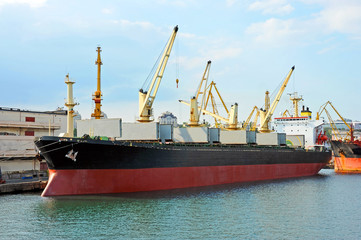 Bulk cargo ship under port crane