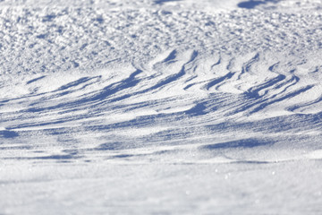 雪原の風紋