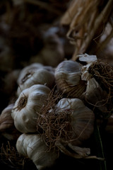 Garlics on a Greenfood fair