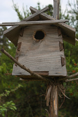 homemade birdhouse