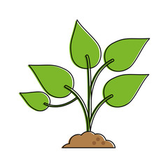 plant sprout icon image vector illustration design 