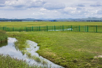 Fototapeta na wymiar The river on the grassland