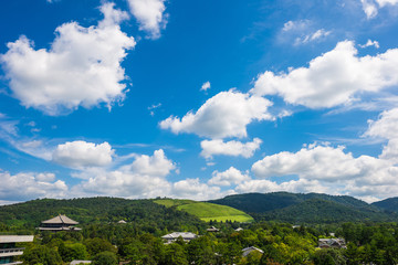 Obraz premium 奈良県の街並み 展望