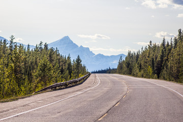 The road to Banff, Alberta
