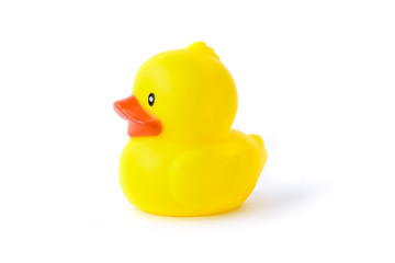 rubber duck on White Background