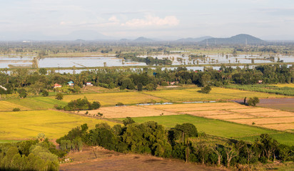 Fototapeta na wymiar Above rice fields in the Thai countryside.