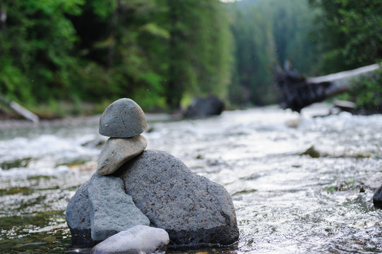 The Cowlitz River