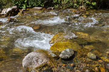 Naklejka na ściany i meble clear water in a creek