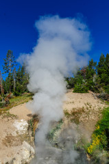 Geyser at Mud Volcano