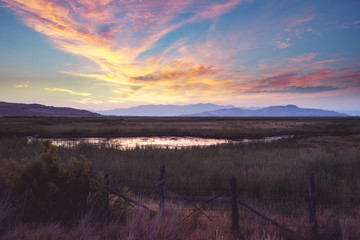 Fields before sunrise