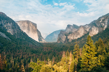 amazing view of yosemite valley with el capitan mountain at background - obrazy, fototapety, plakaty