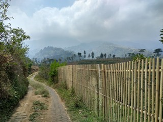 road to hill
