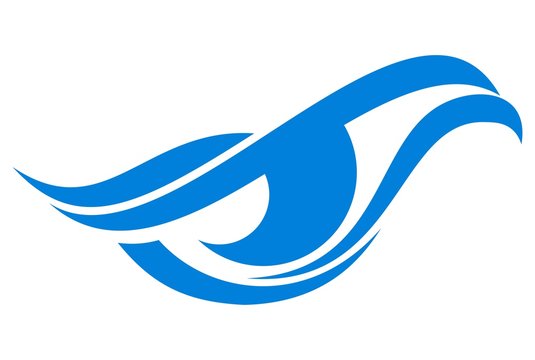 eye eagle bird logo
