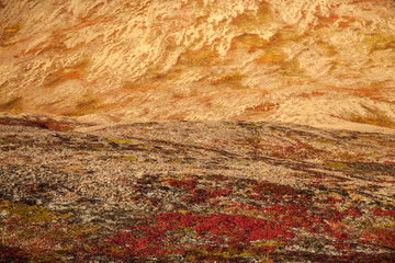Gavriila Bay, tundra colours in Autumn