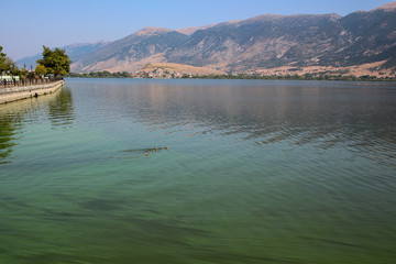 Landscape of a lake