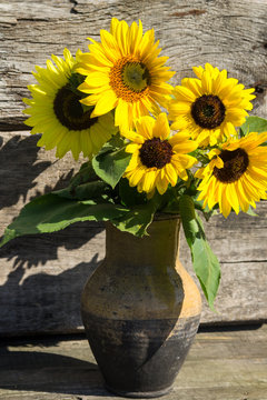 Sunflowers in vintage clay jug on wooden background