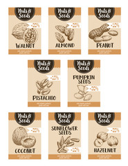 Vector price sketch posters of nuts and fruit seed
