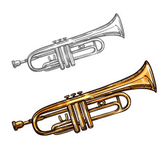 Vector sketch trumpet musical instrument - obrazy, fototapety, plakaty