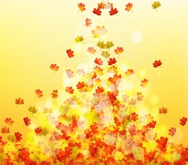 Autumn leaves background