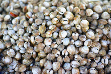 Cockle are sold by market.