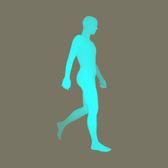 Walking Man. 3D Human Body Model. Design Element. Vector Illustration.