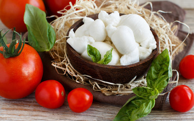 Italian cheese mozzarella nodini with tomatoes and herbs