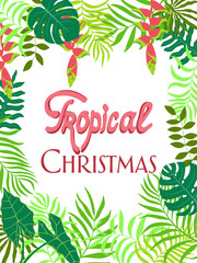 Tropical background with palm leaves. Written phrase - Tropical Christmas