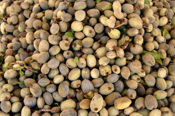 Fresh almond fruit with price