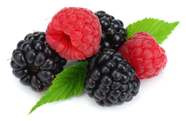 blackberries with raspberries and green leaf isolated on white background. macro