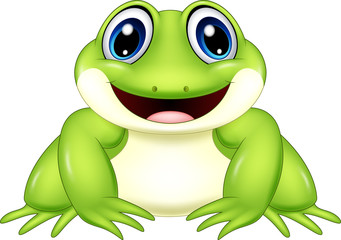 Cartoon frog isolated on white background
