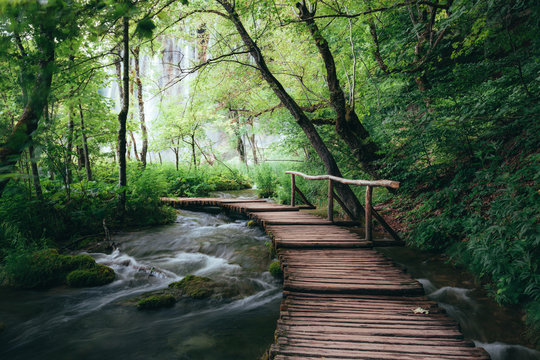 Fototapeta Wooden path across small creek in summer green forest