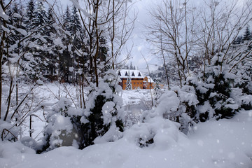 Wooden cottage in winter snowy forest