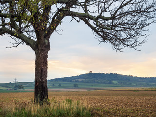 Fototapeta na wymiar Landschaft mit Kirschbaum und Kapelle im Herbst