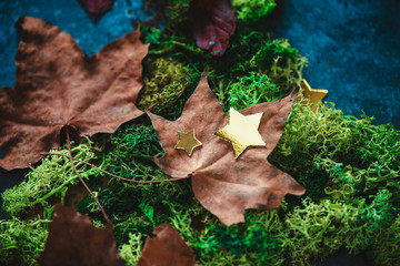 Autumn leaves on a green moss with golden stars. Fall header with copy space in cold tones.