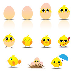 Cute Baby Chicken Cartoon Set