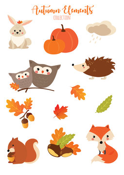 autumn set