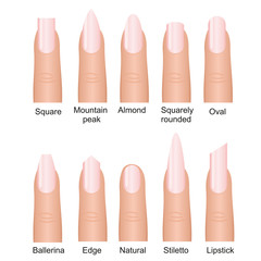 Vector illustration set of different nails shape tipes. Manicure design on fingers isolated on white background in flat style. © Natalia