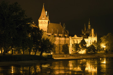 Fototapeta na wymiar Vajdahunyad Castle on a summer night in Budapest