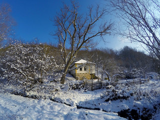 Fototapeta na wymiar Village Winter snowy Morning