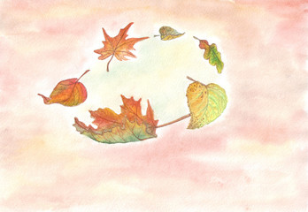 Illustration. Drawing with watercolor. Leaves in the autumn color range to spin.