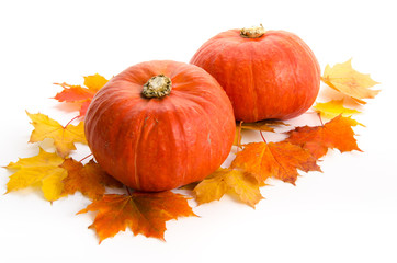 Hokkaidokürbisse im Herbstlaub