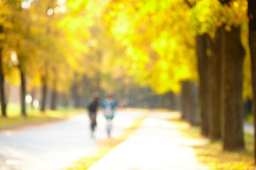 Obraz premium autumn days