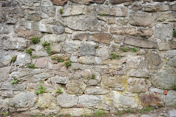 Natursteinmauer