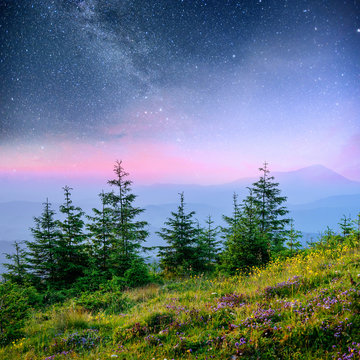 Dairy Star Trek in the woods. Dramatic and picturesque scene. Fantastic starry sky and the milky way