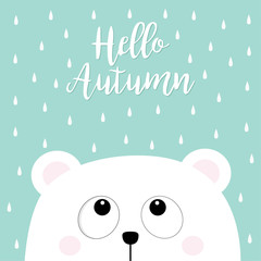 Hello autumn. Polar white little small bear cub head face looking up to rain drops. Big eyes. Cute cartoon baby character. Arctic animal collection. Flat design Blue background Isolated.