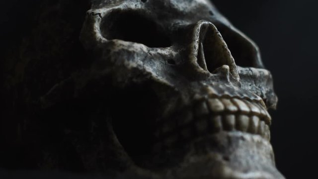 Camera descends on the skull.