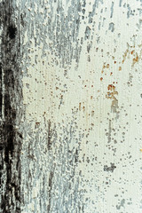 Obraz premium large grunge textures and backgrounds, perfect background with space for text or image
